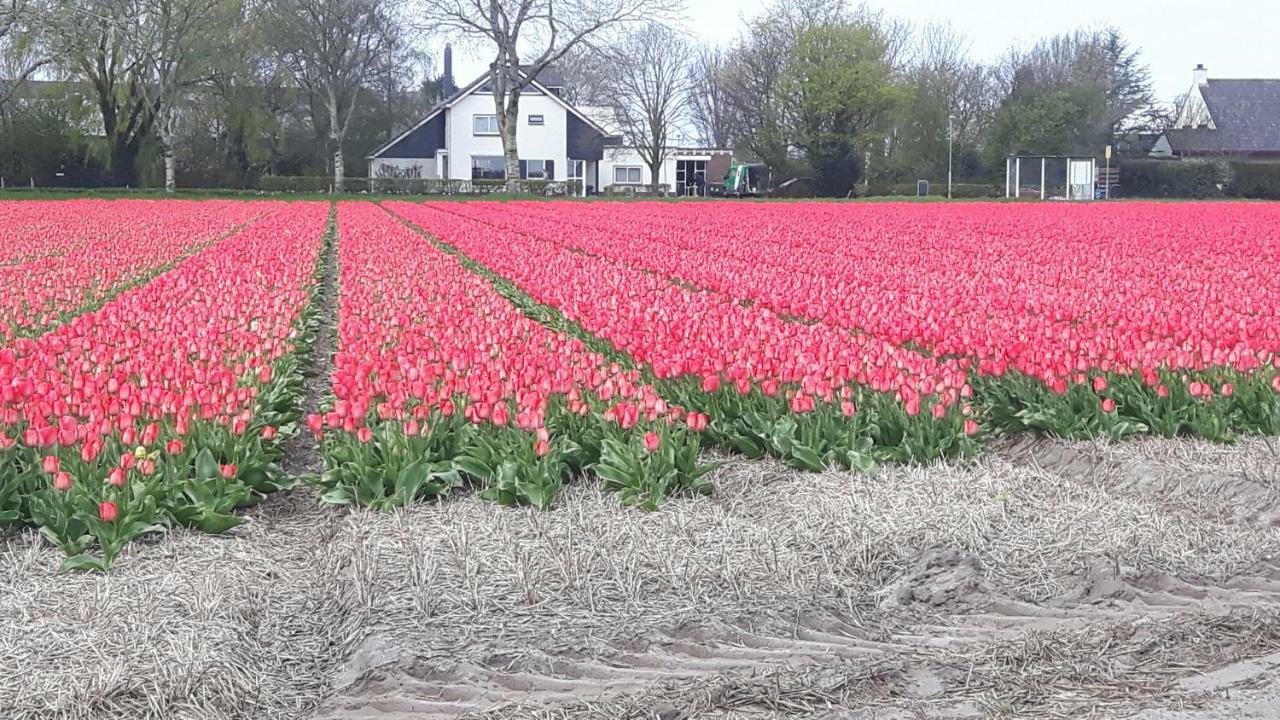 エグモント・ビネン Vrijstaande Blokhutヴィラ エクステリア 写真